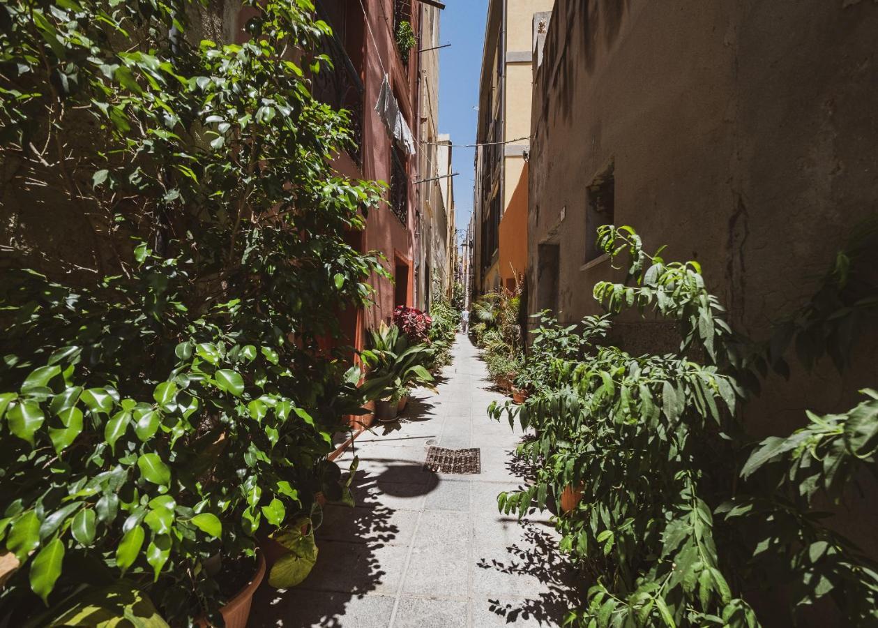 Appartamento Maestrale - Quartiere Castello 卡利亚里 外观 照片